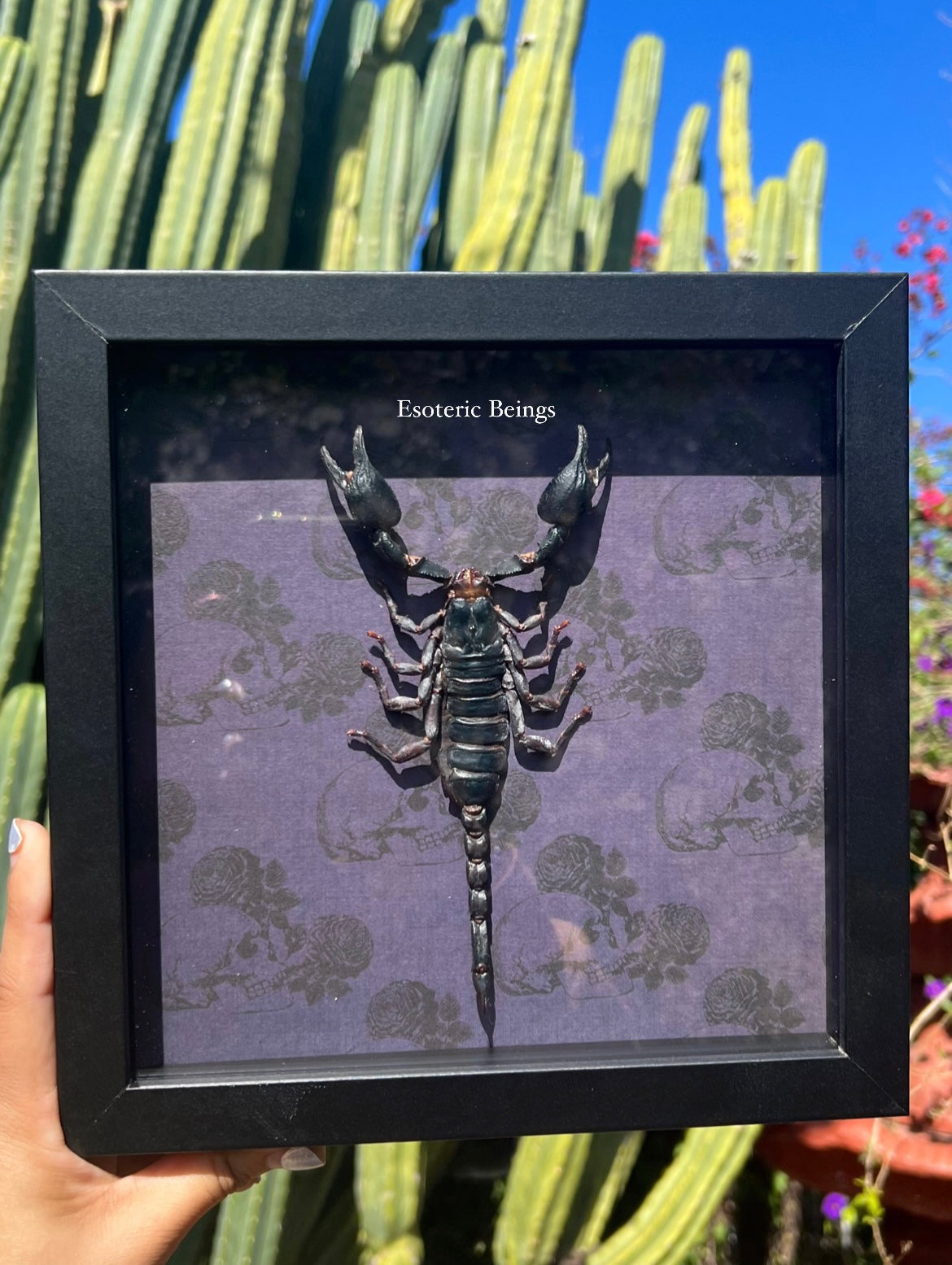 Scorpio SZN